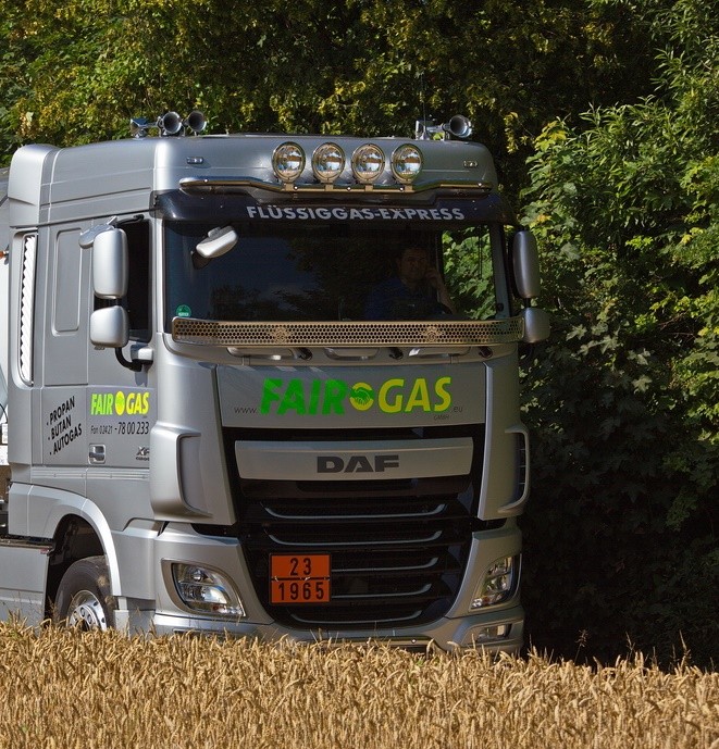 Stainless Steel Stoneguard for DAF