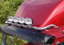 RVS HiBar voor Mercedes Atego / Axor Dagcabine