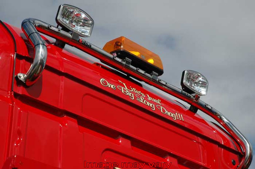Stainless Steel BakBar for Scania 4 & R-Series Highline