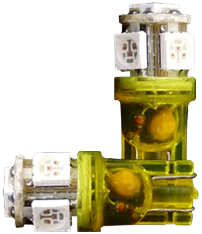 T10 Lamps with 5 SMD LEDs Amber | Set of 2 Pieces